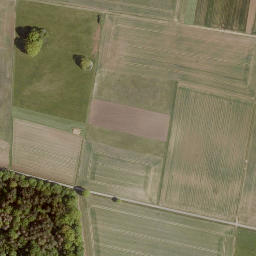 Satellite imagery of Niederwald, DE