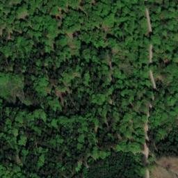 Satellite imagery of Mühlberg, DE