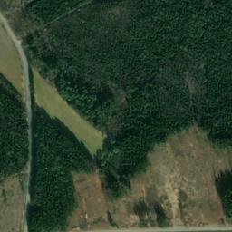 Satellite imagery of Mühlberg, DE