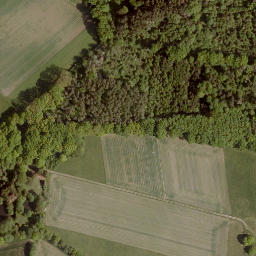 Satellite imagery of Niederwald, DE