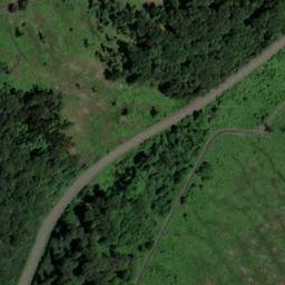 Satellite imagery of Lohnhölzchen, DE