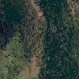Satellite imagery of Whisky Ridge, CA