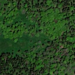 Satellite imagery of Ellenbogen, DE