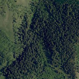 Satellite imagery of Whisky Ridge, CA