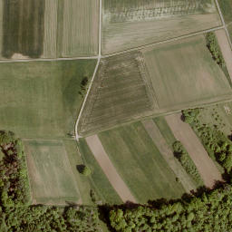 Satellite imagery of Licher Berg, DE