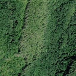 Satellite imagery of Mount Forbes, CA