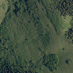 Satellite imagery of Whisky Ridge, CA