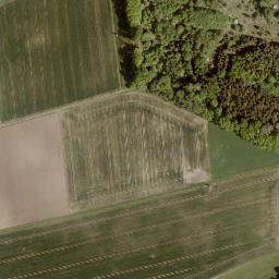 Satellite imagery of Licher Berg, DE