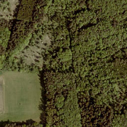 Satellite imagery of Licher Berg, DE