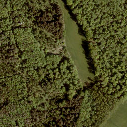 Satellite imagery of Licher Berg, DE