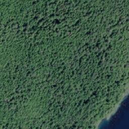Satellite imagery of Licka Point, CA
