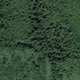 Satellite imagery of Wignell Point, CA