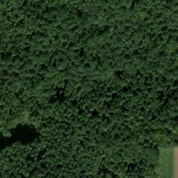 Satellite imagery of Eppsteinskopf, DE