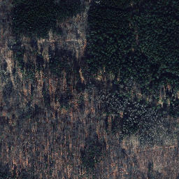 Satellite imagery of Hohe Maas, DE