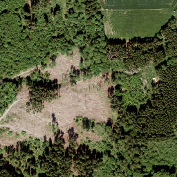 Satellite imagery of Bitters-Berg, DE