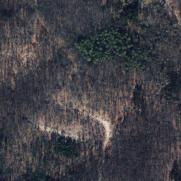Satellite imagery of Hohe Maas, DE