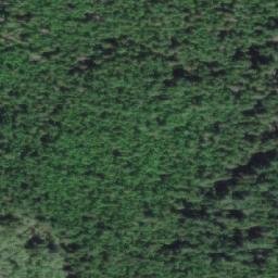 Satellite imagery of Mist Bluff, CA