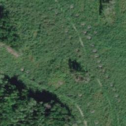 Satellite imagery of Mount Anthony, CA