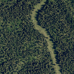 Satellite imagery of Jim Ridge, CA