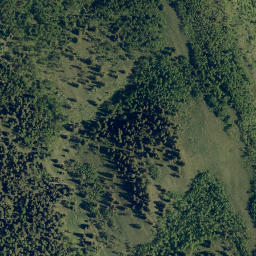 Satellite imagery of Jim Ridge, CA
