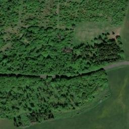 Satellite imagery of Hain, DE