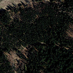 Satellite imagery of Silbachskopf, DE