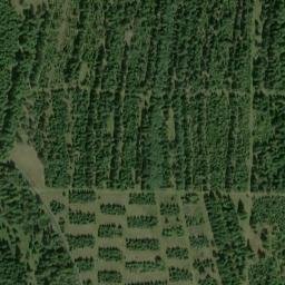 Satellite imagery of Jelení vrch [Kalek - Načetín], CZ