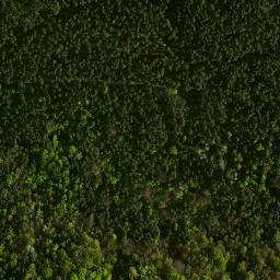 Satellite imagery of Morsko - Ruiny zamku, PL