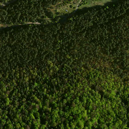 Satellite imagery of Morsko - Ruiny zamku, PL