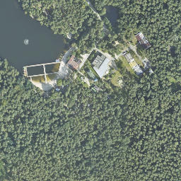 Satelita