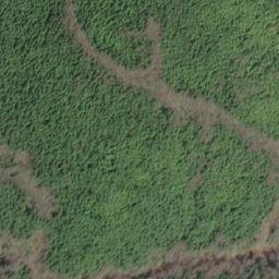 Satellite imagery of Mount Byng, CA