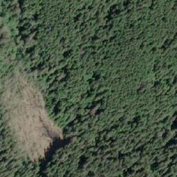 Satellite imagery of Sorenson Point, CA