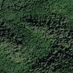 Satellite imagery of Collingwood Mount, CA