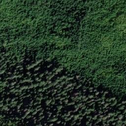 Satellite imagery of Collingwood Mount, CA