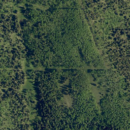 Satellite imagery of Jim Ridge, CA