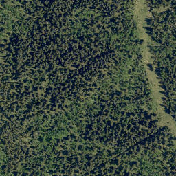 Satellite imagery of Jim Ridge, CA