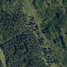 Satellite imagery of Jim Ridge, CA