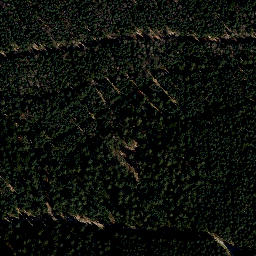 Satellite imagery of Silbachskopf, DE
