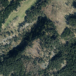 Satellite imagery of Kolditzberg, DE
