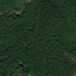 Satellite imagery of Žaltman [Radvanice v Čechách], CZ