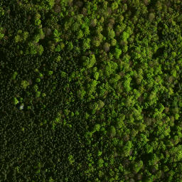 Satellite imagery of Morsko - Ruiny zamku, PL