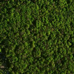 Satellite imagery of Morsko - Ruiny zamku, PL
