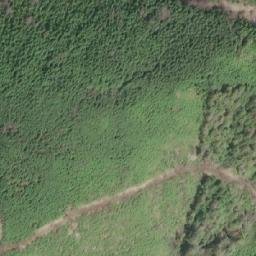 Satellite imagery of Mount Byng, CA