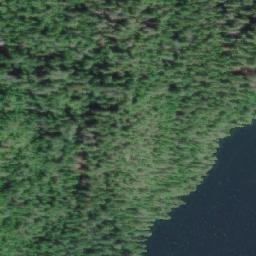 Satellite imagery of Mist Bluff, CA