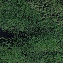 Satellite imagery of Collingwood Mount, CA