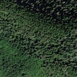 Satellite imagery of Collingwood Mount, CA