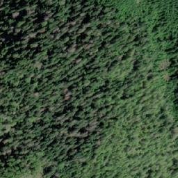 Satellite imagery of Collingwood Mount, CA