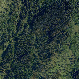 Satellite imagery of Jim Ridge, CA