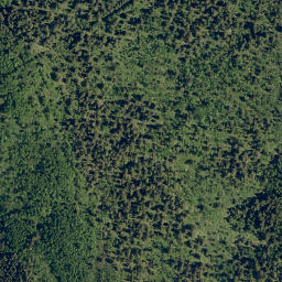 Satellite imagery of Jim Ridge, CA
