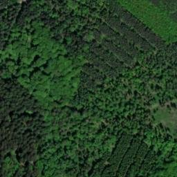 Satellite imagery of Roter Bühl, DE